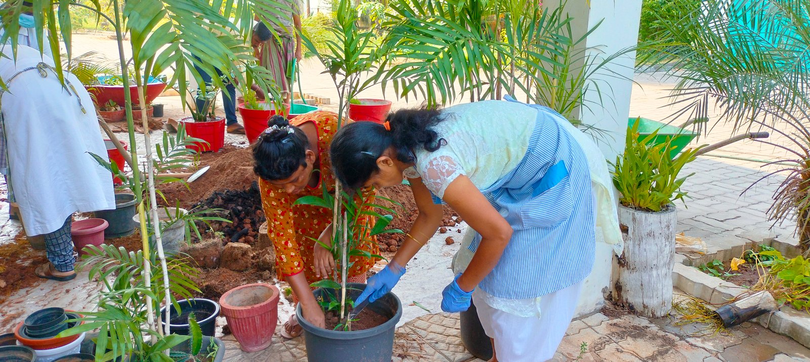 Floriculture activity