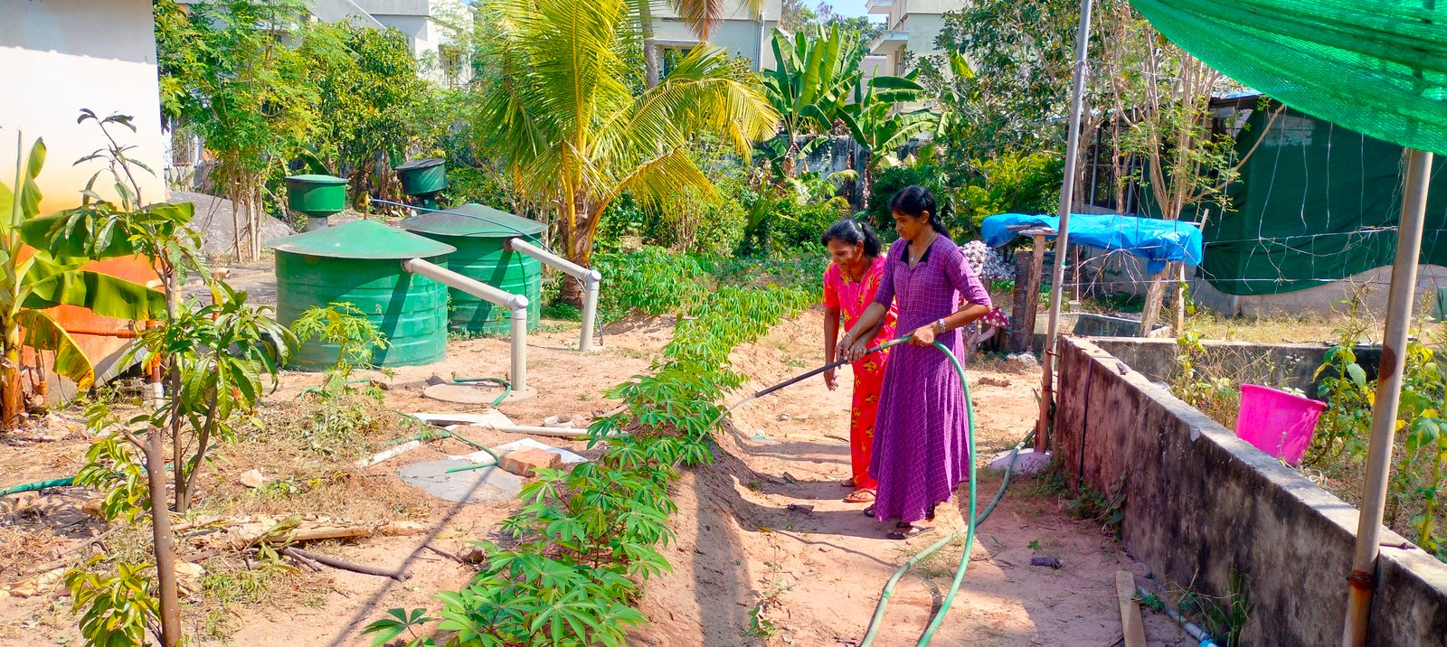 Gardening activity