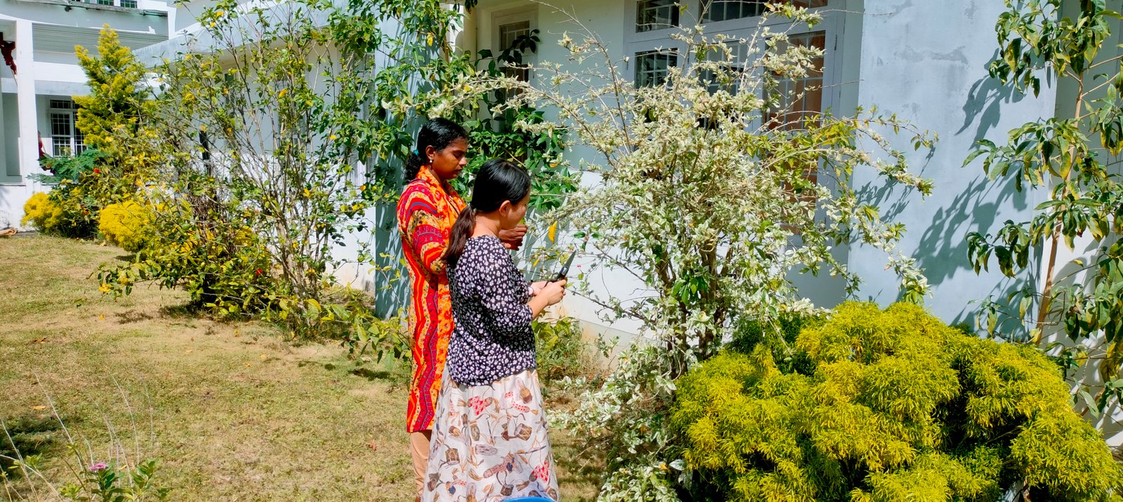 Floriculture activity