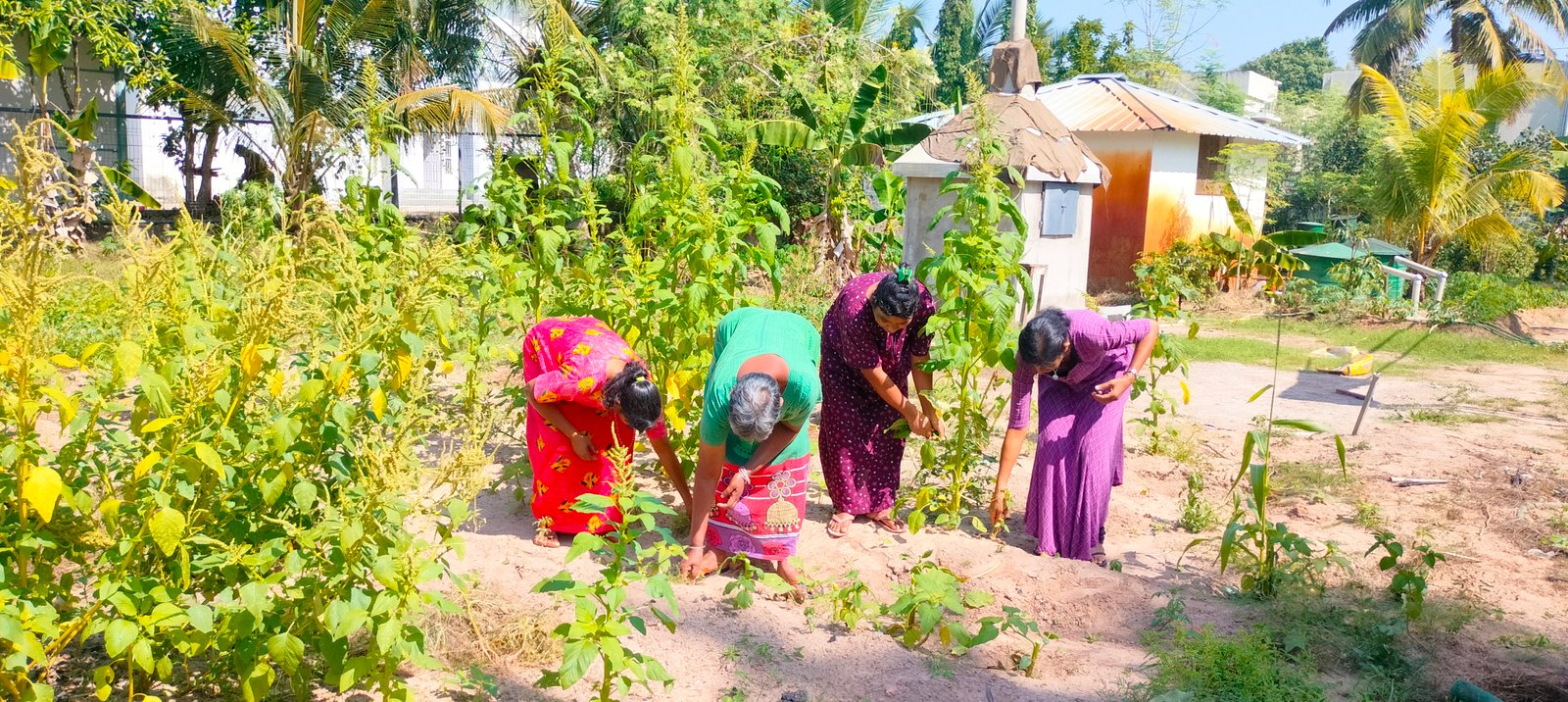 Women gardening