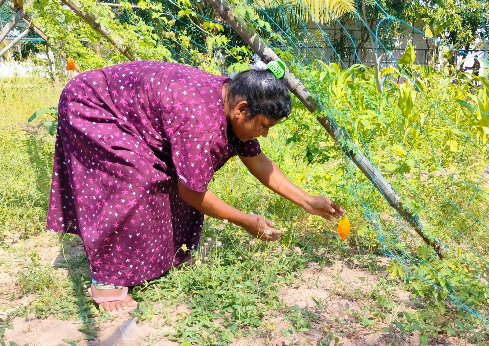 Woman gardening